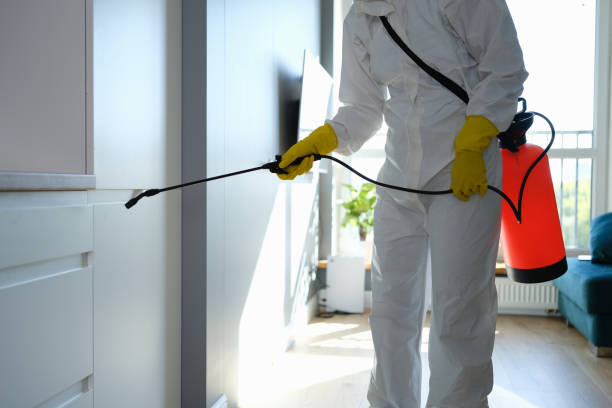 Best Mold Damage Repair  in Hartford, IL