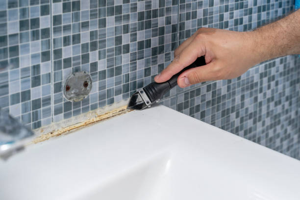 Best Toxic Mold Removal  in Hartford, IL