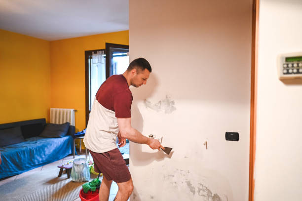 Best Same-Day Mold Removal  in Hartford, IL