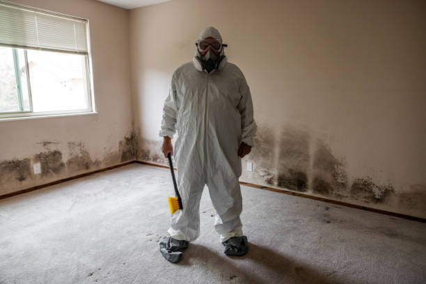 Best Certified Mold Removal  in Hartford, IL